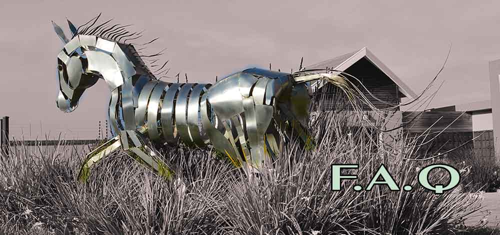 services photographer port elizabeth