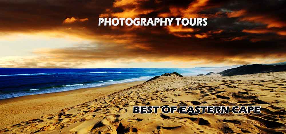 nature and wildlife photographer port elizabeth