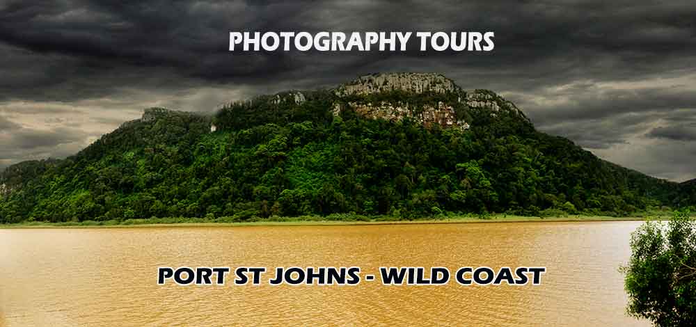 nature and wildlife photographer port elizabeth